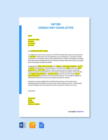 41088 sap project experience