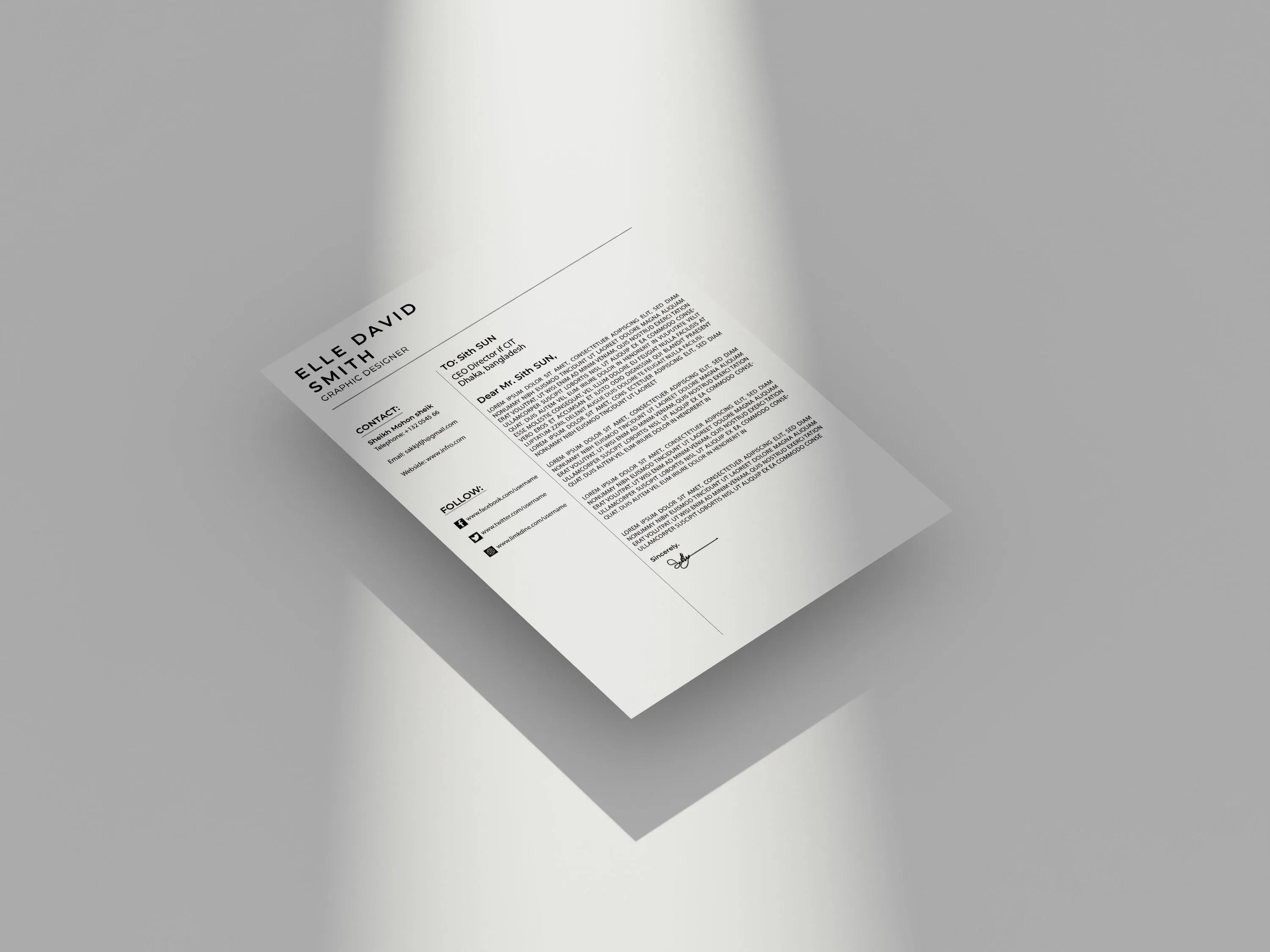 41117 cover letter color design