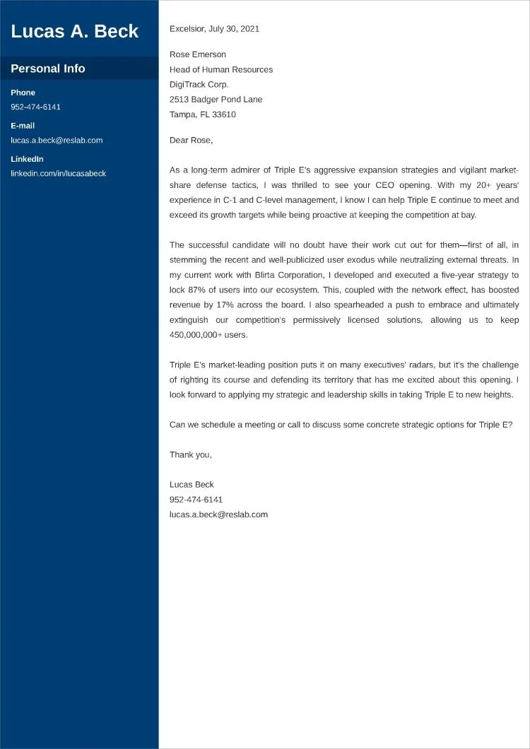 41288 executive cover letter example