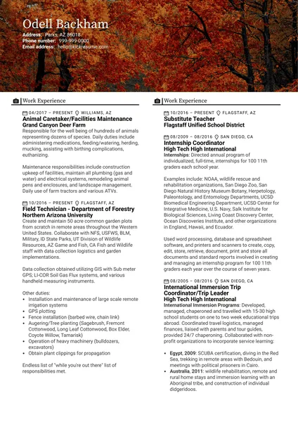 41327 forest service job application 4